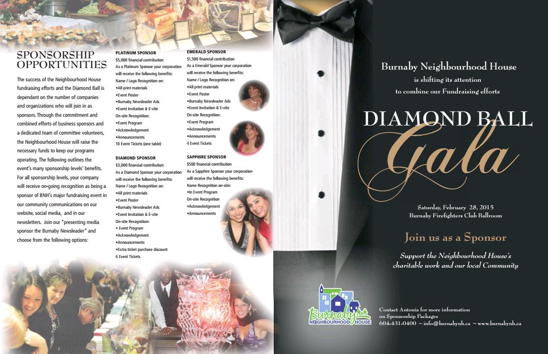 Diamond Ball Brochure-1